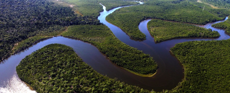 Natura Wins The Most Important Climate Change Award In The World