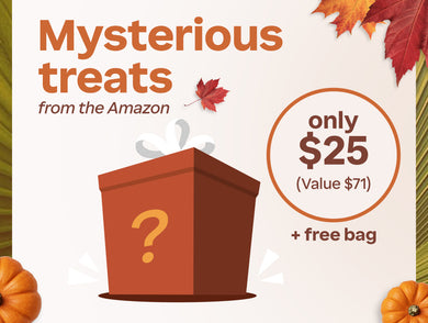 Mysterious Treats from the Amazon