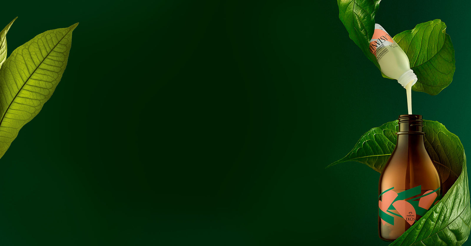 Natura Ekos Castanha Concentrate