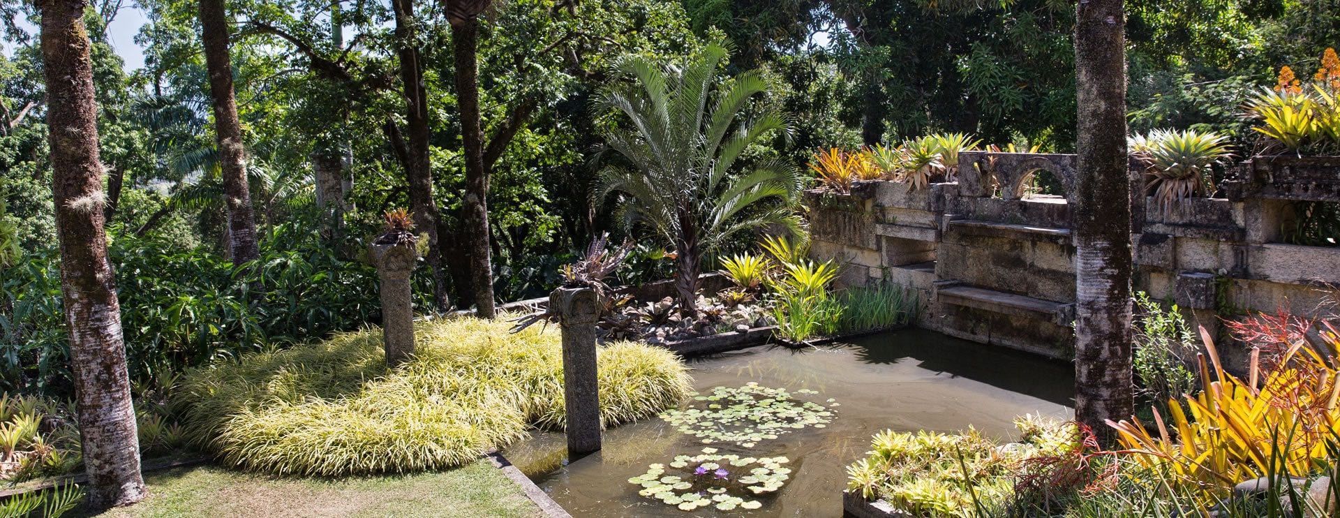 The Living Art of Roberto Burle Marx at New York Botanical Garden