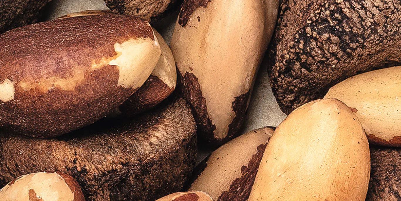 Castanha: Discover the nourishing power of the oil extracted from this rich fruit