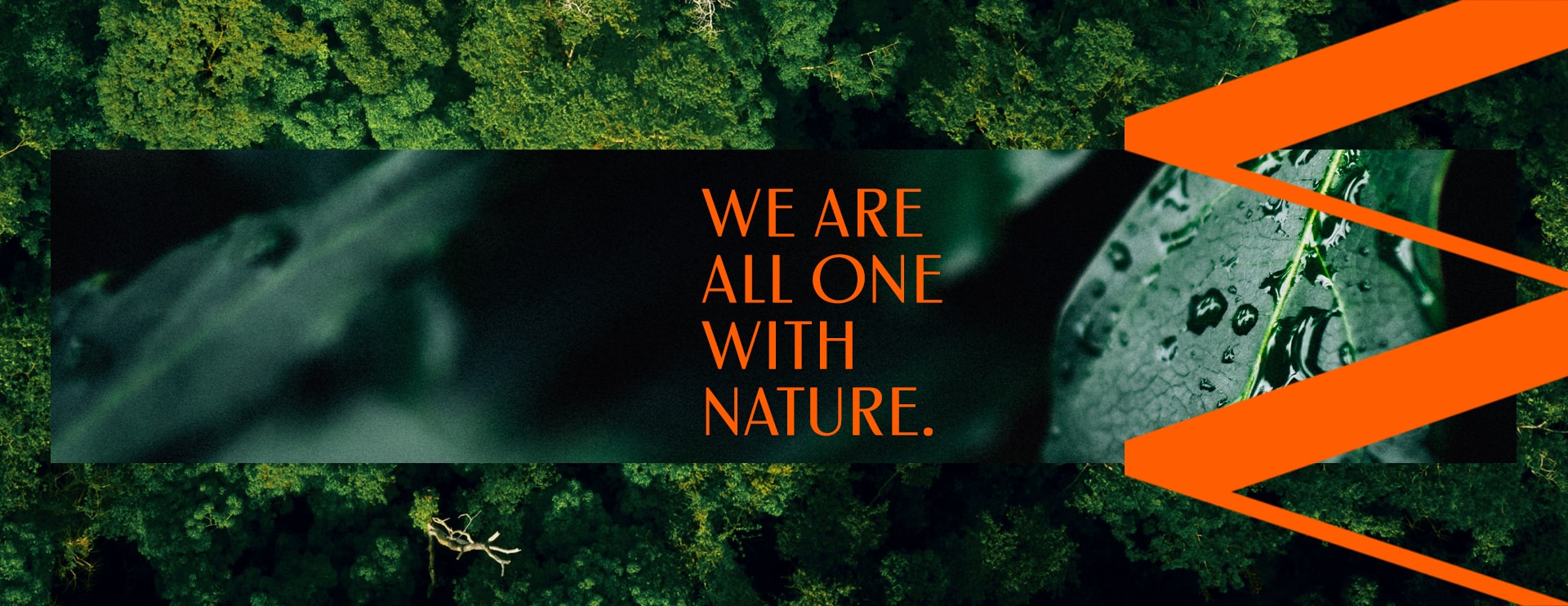 natura ekos earth day - we are one all with nature