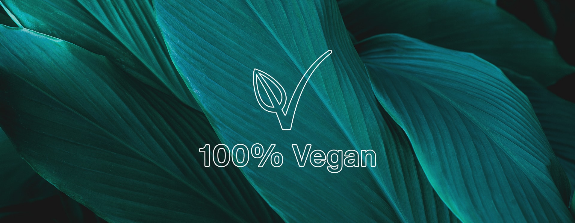 3 reasons why 100% vegan beauty is the best for you