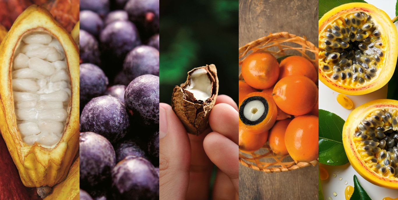 Learn more about Biobeauty in the Amazon