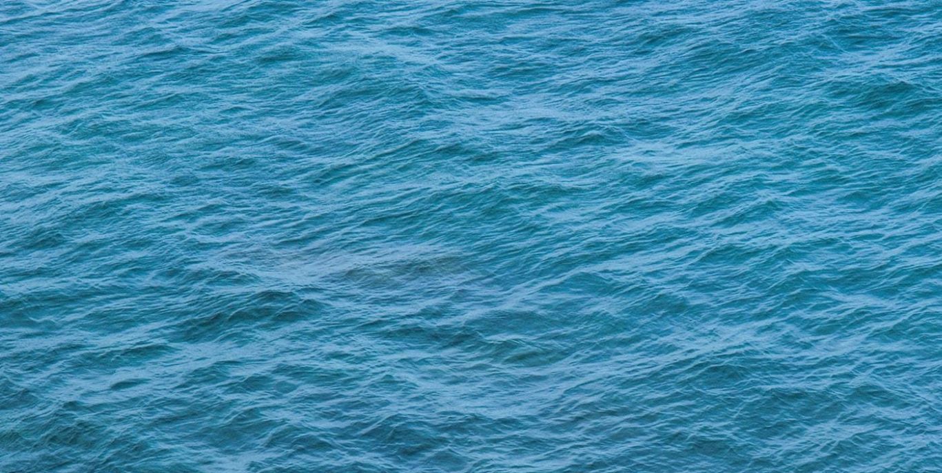 Exfoliants Without Plastic MicroBeads: Why Natura Eliminated This Material