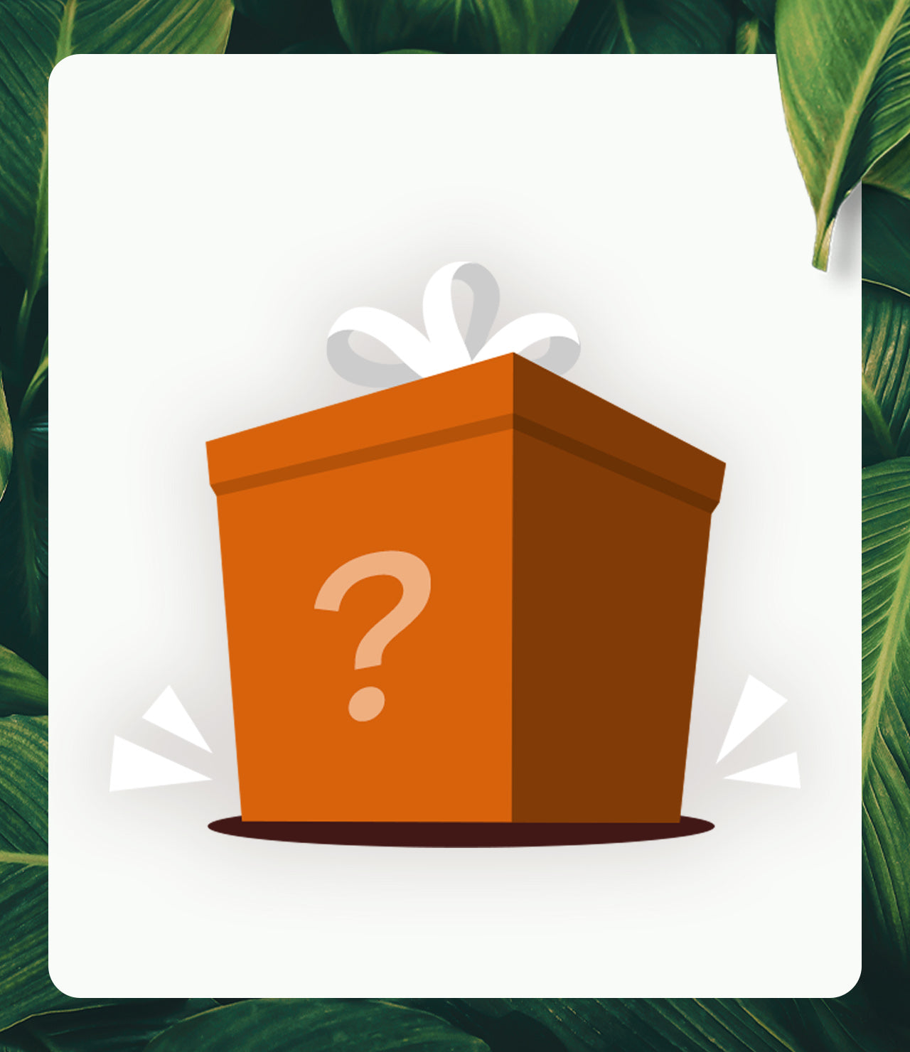 New Year Mystery Offer