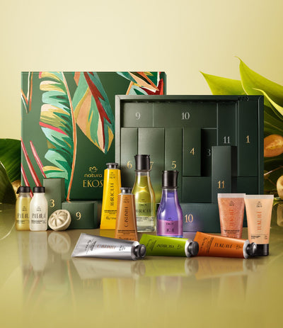 Tropical Holiday Advent Calendar Set_mobile