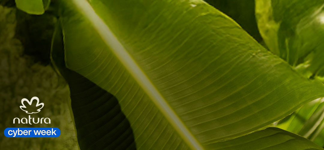 
          
            Up To $10 with Promo Code
          
        