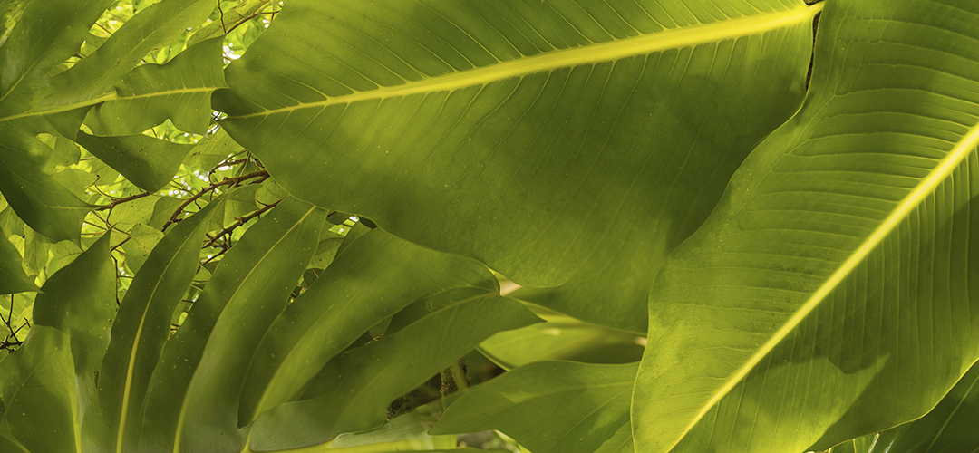 
          
            From $21 To $30 with Promo Code
          
        