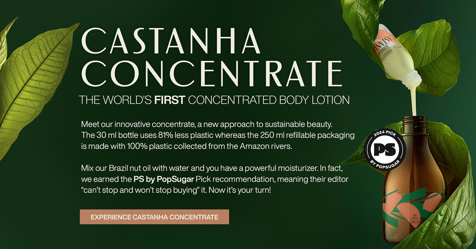 Castanha Concentrate