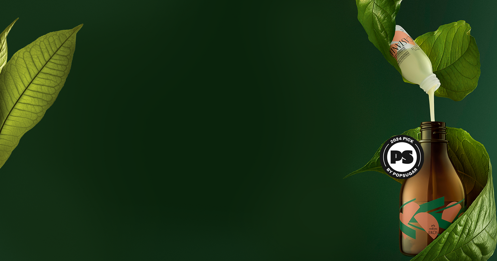 Natura Ekos Castanha Concentrate