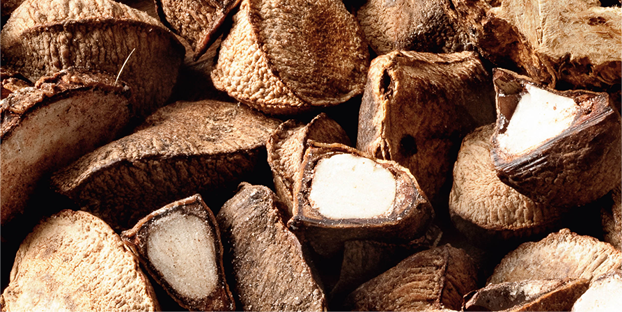Natura Brasil - Ekos Castanha