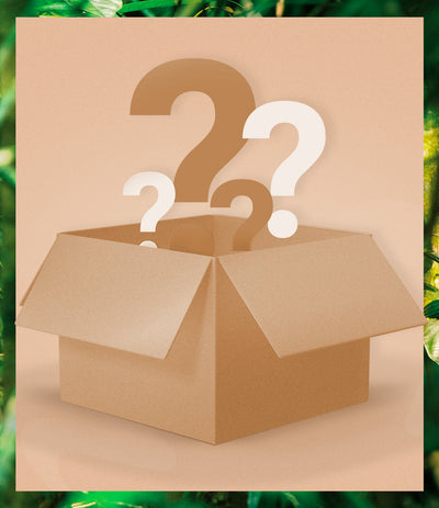 May Mystery Offer_mobile