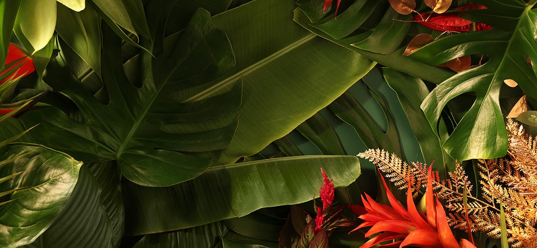 
          
            Holiday: Gifts Up To $70
          
        