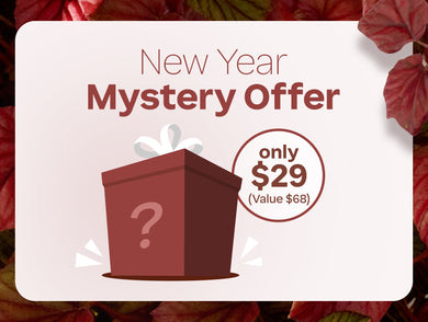 Winter Wellness Mystery Offer