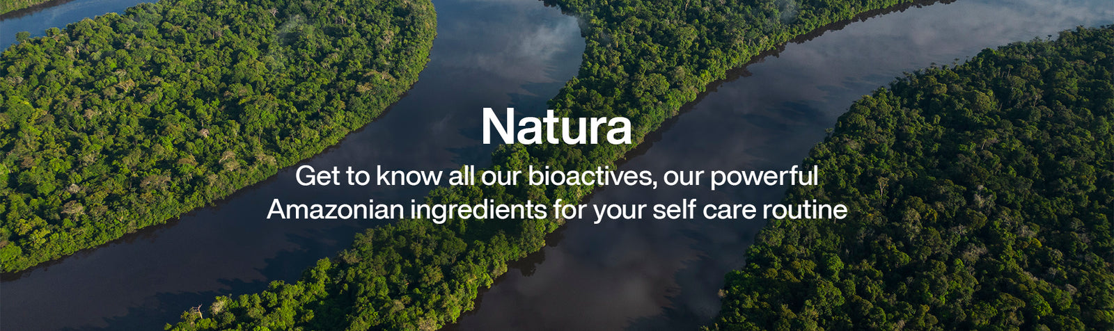 Natura - Get to know all our bioactives, our powerful Amazonian ingredients for your self care routine.