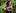 banner-img