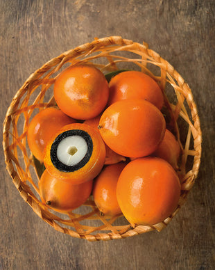 Do you know what the superpower of Amazon bioactive Tukumã is?