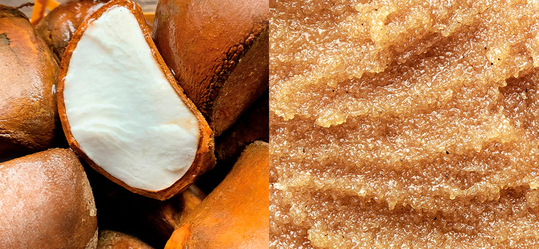 
          
            Andiroba: Restores & Relieve Fatigue
          
        