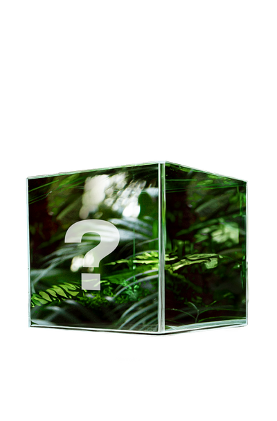 March Mystery Offer_thumbnail