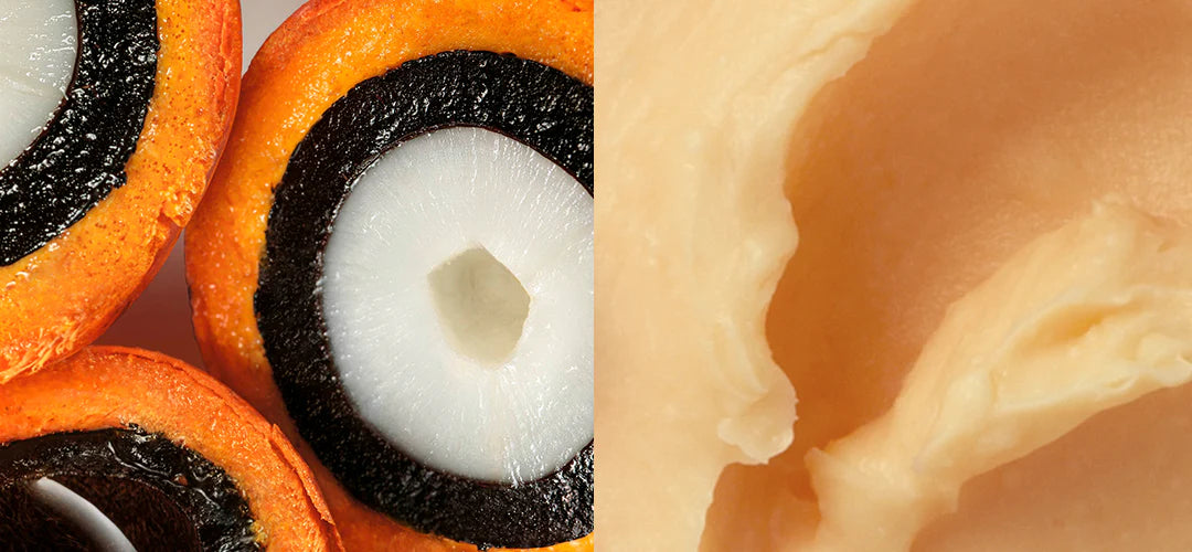 
          
            Tukumã: Replenishes & Promotes skin glow effect
          
        