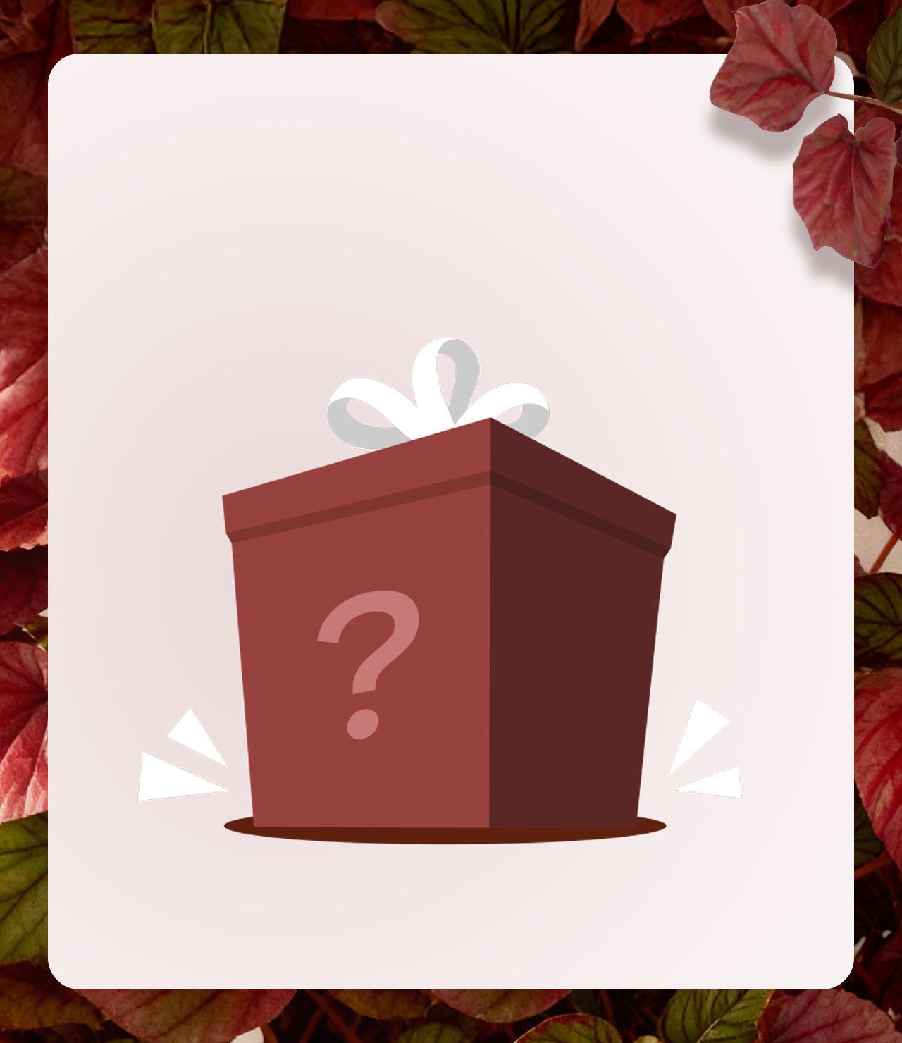 Winter Wellness Mystery Offer