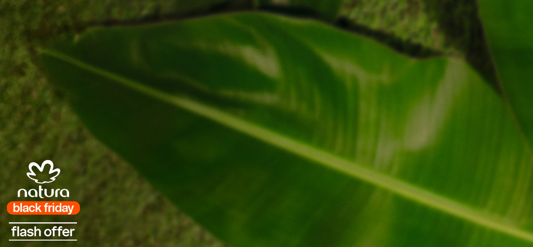 
          
            Flash Offer: Ilía Day & Night
          
        