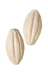 Ekos Cacau Creamy Soap Bar_thumbnail