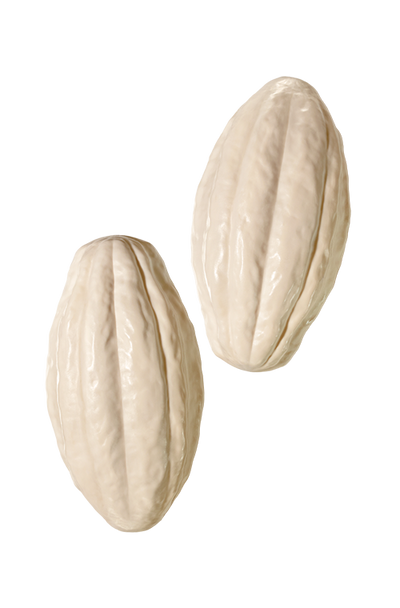 Ekos Cacau Creamy Soap Bar_thumbnail