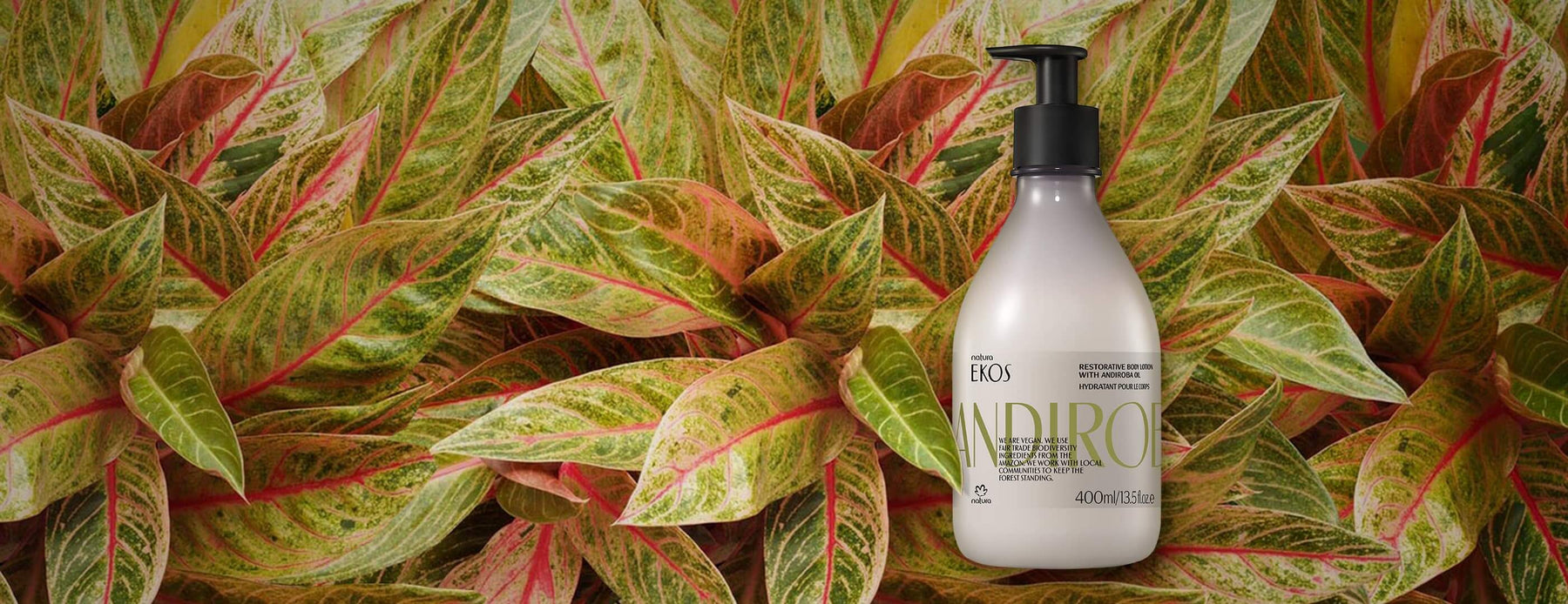 Andiroba Soothing Body Lotion